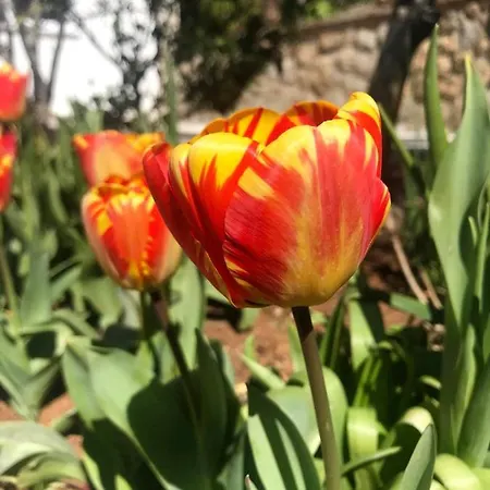 Vera- With Airconditioning And Free Parking Privatunterkunft