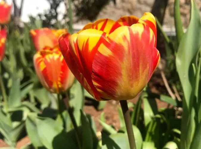 Vera- With Airconditioning And Free Parking 民宿